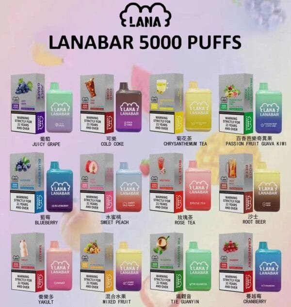 LANA拋棄式5000口電子煙